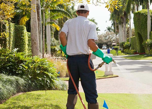 About Lebanon NE Pest Control